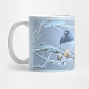 Junco  ~ after the ice storm Mug